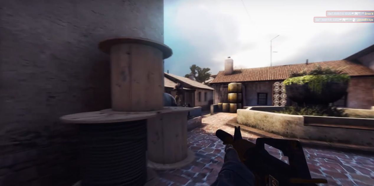 flusha 在 dima_wallhacks 的直播中与 10 个 FACEIT 级别的玩家对战